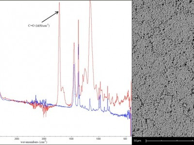 Hemocompatible polymers for medical use